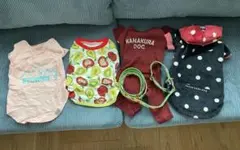 Item thumbnail for item e8a9e2aa-bd1e-417a-8386-1f2bc97eeece