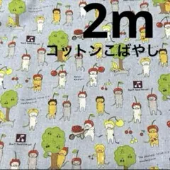 【特価】★ラスト3枚★綿麻★さくらんぼ被り猫★くすみブルー★