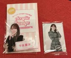 Item thumbnail for item 9bf5c539-015e-4afb-b331-c2382b5ad43e