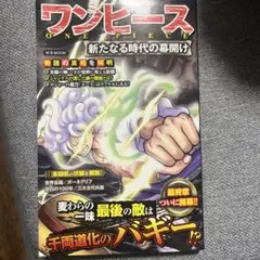 ONE PIECE ワンピース　新たなる時代の幕開け