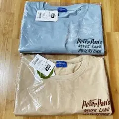 Item thumbnail for item 2a846078-f537-456d-870e-b4fdce888a95