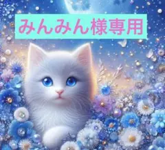 ホイップデコ スケルトンケース
