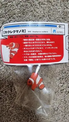 【新品未使用】 ニフレル限定 カクレクマノミ
