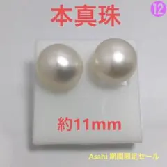 真珠ピアス大珠約11mm本物淡水パール冠婚葬祭フォーマル定番【期間限定セール】⓬
