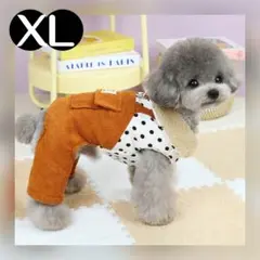 Item thumbnail for item a6073ee0-06c9-494f-a4f7-9ddf827dcdf8