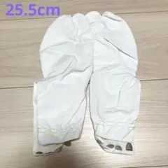 Item thumbnail for item 051dea99-868e-403b-9449-85e9fdec2429