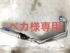 ニダボ　mc22エキパイ ホーネット.ジェイドにも流用可 2万→18000 2025年最新】cbr250rr mc22 エキパイの人気アイテム - メルカリ