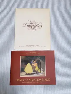 DISNEY'S ANIMATION MAGIC