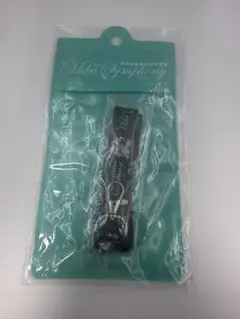 初音ミク シンフォニー 2019 限定グッズ
