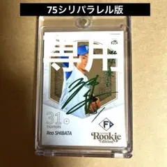 柴田獅子　BBM2025 ルーキーエディション　75シリ　日ハム 緑箔