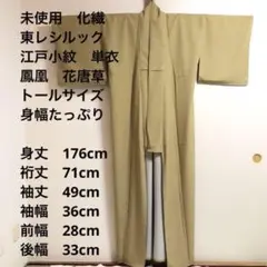 【未使用　トールサイズ】東レシルック　単衣　　江戸小紋　角　裄丈73 身丈176 2025年最新】東レシルック 江戸小紋の人気アイテム - メルカリ