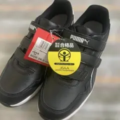 Item thumbnail for item fae30327-3036-4322-acc0-1101356ee74f