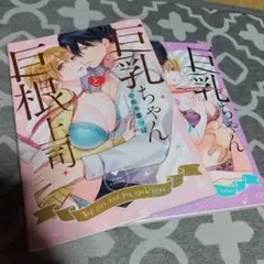 2冊セット　巨乳ちゃんと巨根上司　１～２巻　TLコミック