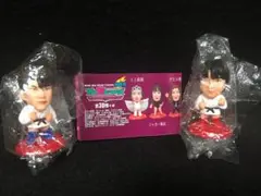 プロ格ヒーローズ　女子プロレスラーオールスターズ３０個セット プロ格ヒーローズ 女子プロレスラーオールスターズ30個セット
