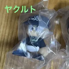 パワプロくん　ヤクルトスワローズ　ならぶんです。　セントラル　ビジター