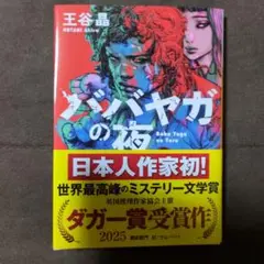 ババヤガの夜