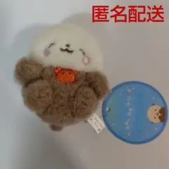 ふわっふわらっこ　ぷきゅっとおすわりマスコット　BC