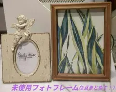 TOROPICA WOOD FRAME SANSEVIERIA サンセベリア