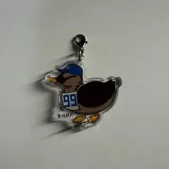 日ハム シークレット カルガモ隊 レイエス