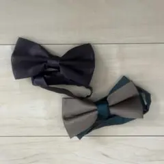 Item thumbnail for item 02a78c9c-133e-4eaf-87f5-bce6ec24514d