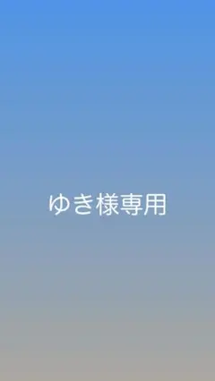 ゆき様専用19アンタレス 匠ベアリング 美品 ルアー等