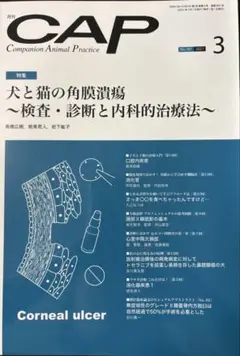 Item thumbnail for item cccb092e-3781-4d44-8348-3e58f6a51ed3