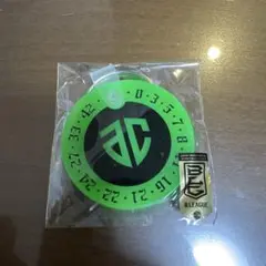 Item thumbnail for item ff22f575-2298-4642-aa75-ea107c422ca4