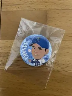 横浜DeNAベイスターズ 佐々木千隼選手