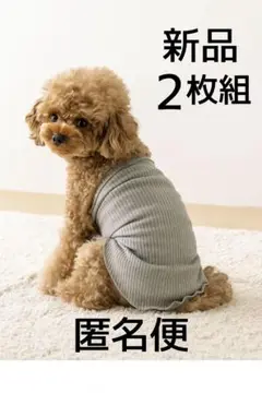 Item thumbnail for item bce8110d-7cdc-4654-ae90-422e77804e9d