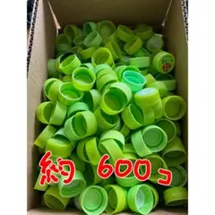 緑色キャップ 約600個