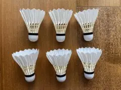 バトミントン練習用 羽付きシャトルコック6個