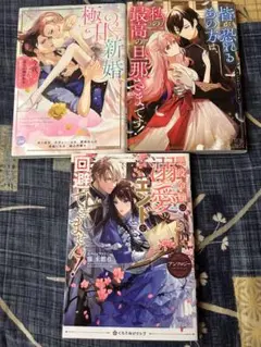 極甘新婚 今夜、シたい…淫らに抱かれる初夜アンソロジー 他アンソロジー3冊セット