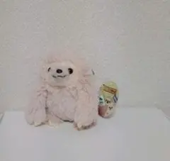 ナマケモノのみっけ