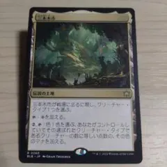 MTG 三本木市 日本語 1枚