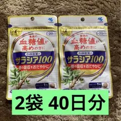 即発送可能 新品 小林製薬 サラシア100 20日分 2袋 合計40日分