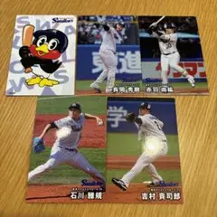 東京ヤクルトスワローズ 選手カード　プロ野球チップス