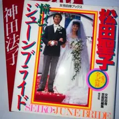 松田聖子・ジューンブライド(小学館)♡(女性自身ブックス) 聖子 神田法子