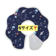 Item thumbnail for item c5c5884a-c155-481f-aa31-7fcb7b9894e1