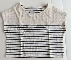 アース ボーダー クロップド Tシャツ 新品タグ付き