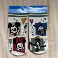 ディズニーリゾート　靴下　16〜18cm