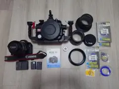 Item thumbnail for item 080dcb09-2d80-40bb-a071-843184b03d24