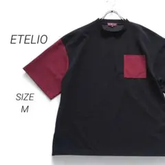 a1821▶エテリオ　ルーズシルエットポケットTシャツ【M】バイカラー