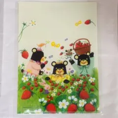 フレーベル　クリアファイル2枚組