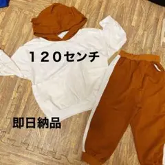 Item thumbnail for item 2dddd594-2caf-47a6-a56e-1250b8f6bbb7