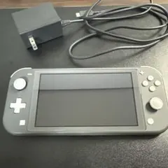 Nintendo Switch ライト　グレー　充電器付き