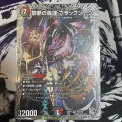 禁断の轟速ブラックゾーン