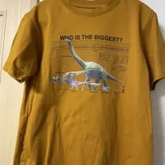 福井県立恐竜博物館 Tシャツ 150