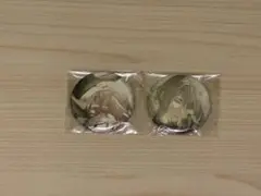 終遠のヴィルシュ　終遠のヴィル　缶バッジ　2点セット