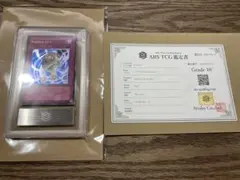 ars10+ ドリアード ウルトラ　リミテッド torekado0822_qclp-jp003rp