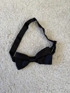 Item thumbnail for item da68f875-6576-4a53-b163-bf6fcc81cf32